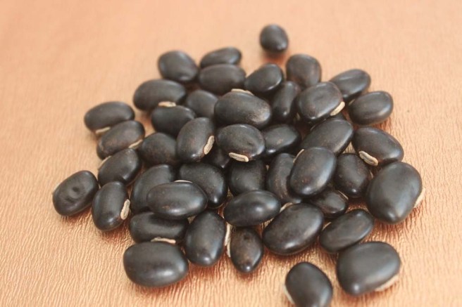 Mucuna-fruit