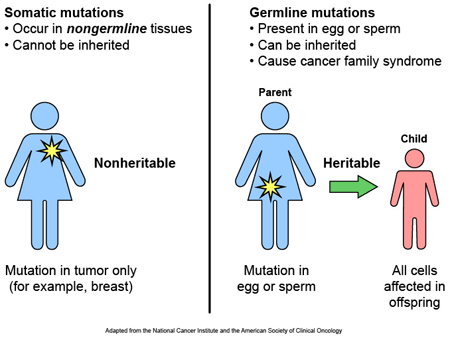 Genetics of PD – The Science of Parkinson's