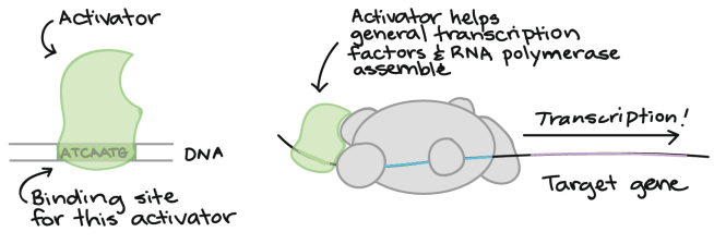 6567f50d30ad3ac65aff1e815caf202b3abd7111