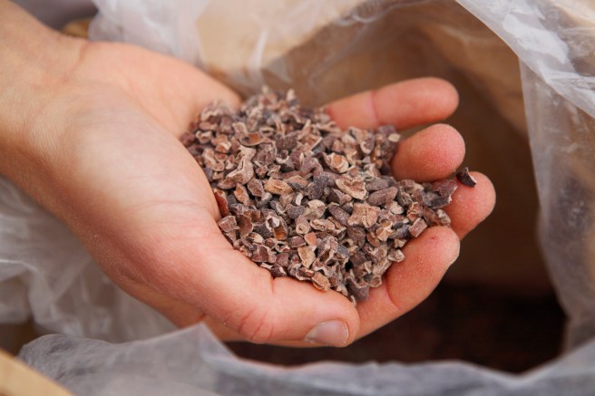 o-cacao-nibs-facebook