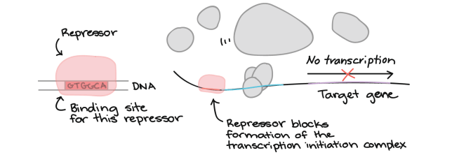 6286f2dbd5e353145bef785aecb273d25176ff23