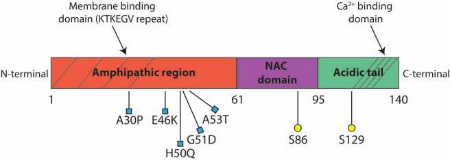 biomolecules-05-00865-g001