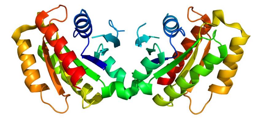 Protein_LRRK2_PDB_2ZEJ