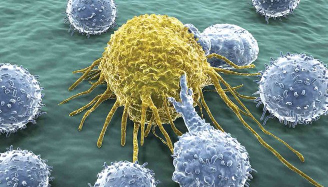 Cancer-Killing T-Cells