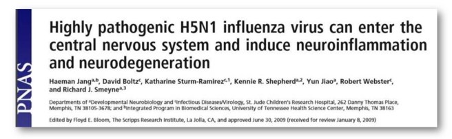 H1N1