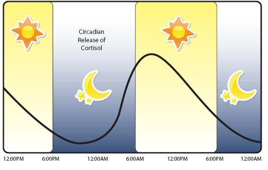 open-uri20120801-11642-h5dnby