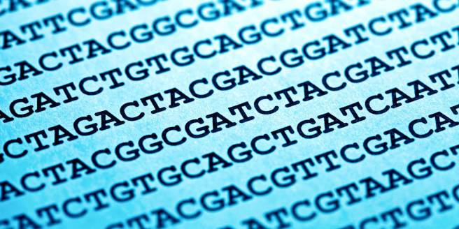 4bd6f881-a898-4829-8318-65e1b827d1ac