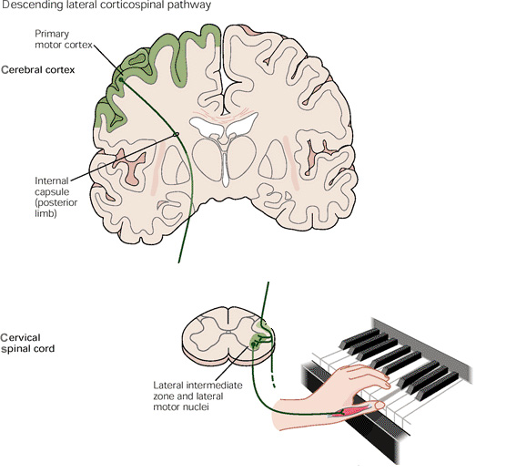 4c3c1107f003a36da4ace0eec928dc5c