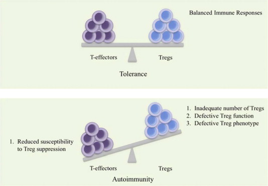 Microsoft Word - Tregs Review Final