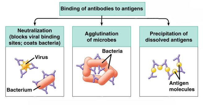 314475-c67ad7dde95dea3076f167997d7f10f3