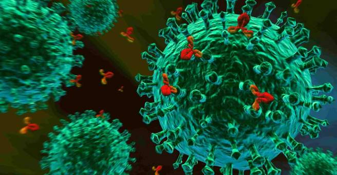 Immune-System.jpg.pagespeed.ce.IveF6VvKjb