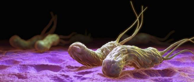helicobacter-pylori