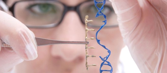 image-20151106-16253-1rzjd0s