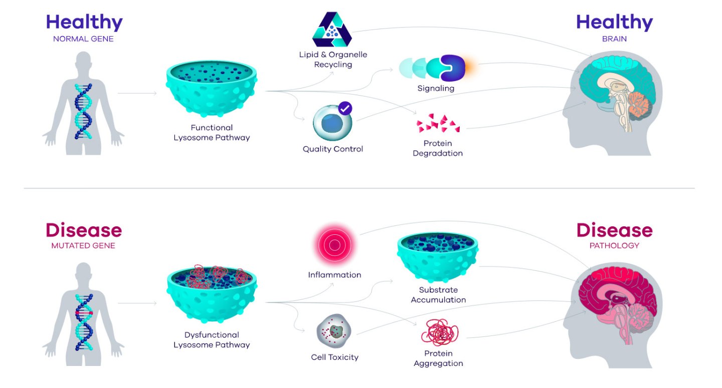 Science Prevails Prevail lands on a Lilly pad – The Science of Parkinson's